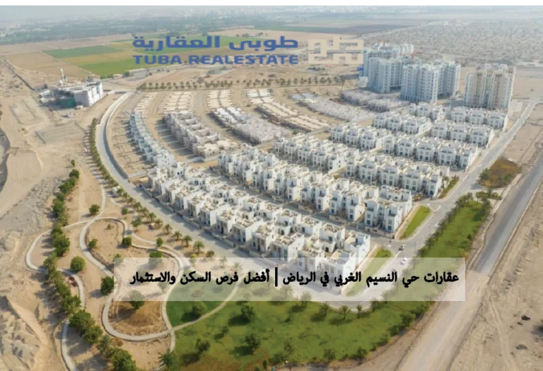 حي النسيم الغربي