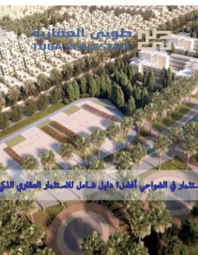 الاستثمار في الضواحي