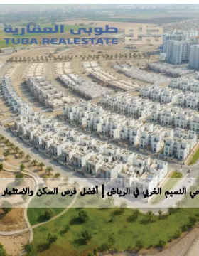 حي النسيم الغربي